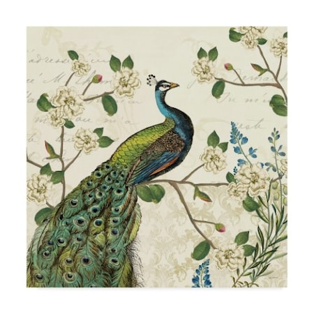 Sue Schlabach 'Peacock Arbor I Ivory Sq' Canvas Art,14x14
